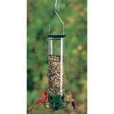 Yankee Bird Feeder Squirrel photos Yankee Bird Feeder Squirrel photos