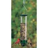 Yankee Bird Feeder Squirrel photos