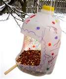Bird Feeders Experiment Bird Feeders Experiment