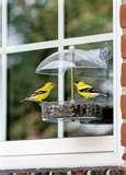 Bird Feeder Yankee Flipper pictures Bird Feeder Yankee Flipper pictures
