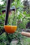 Bird Feeders Experiment Bird Feeders Experiment