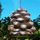 images of Bird Feeder Measurements