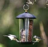 pictures of Bird Feeder Measurements