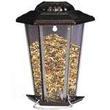 Bird Feeder Assembly images