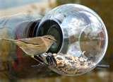 Bird Feeder Globe Bird Feeder Globe