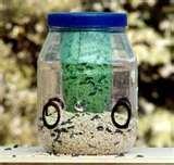 Bird Feeders Projects For Kids images Bird Feeders Projects For Kids images