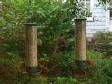 Bird Feeder Yankee Flipper photos