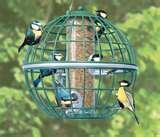 Bird Feeder Globe pictures Bird Feeder Globe pictures