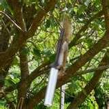pictures of Bird Feeder Measurements pictures of Bird Feeder Measurements
