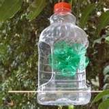 Bird Feeders Projects For Kids pictures Bird Feeders Projects For Kids pictures