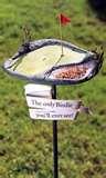 The Bird Feeder Joke The Bird Feeder Joke