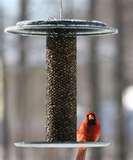 pictures of Nugget Bird Feeder