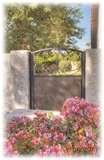 Bird Feeders Scottsdale photos Bird Feeders Scottsdale photos