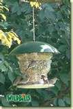 photos of Wild Bills Bird Feeder Tester