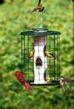 Wild Bills Bird Feeder Tester images