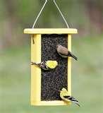 pictures of Bird Feeders Flat