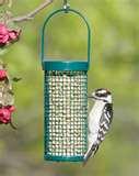 Nugget Bird Feeder photos