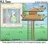 images of Bird Feeders Jokes images of Bird Feeders Jokes