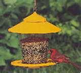 Bird Feeder Recommendations Bird Feeder Recommendations