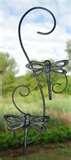 pictures of Bird Feeders Dragonflies pictures of Bird Feeders Dragonflies