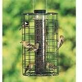 Bird Feeders Dragonflies