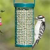 Nugget Bird Feeder images