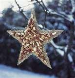 Bird Feeder Apartment photos Bird Feeder Apartment photos