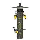 pictures of Bird Feeder Goldfinch pictures of Bird Feeder Goldfinch