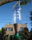 pictures of Bird Feeder Apartment