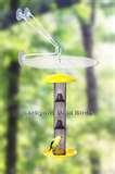 pictures of Bird Feeder Goldfinch pictures of Bird Feeder Goldfinch