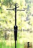 Bird Feeder Issues Bird Feeder Issues