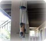 Bird Feeder Apartment images Bird Feeder Apartment images