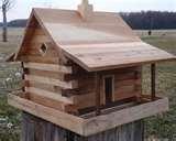 Bird Feeders Information Bird Feeders Information