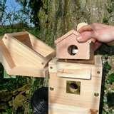 Bird Feeder Nest images