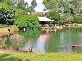 Bird Feeders Brisbane images