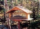 images of Bird Feeder Issues images of Bird Feeder Issues