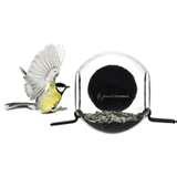 Bird Feeder Born In Sweden images Bird Feeder Born In Sweden images