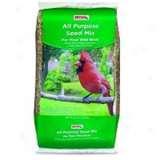 Bird Feeders Petco pictures