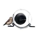 Bird Feeder Born In Sweden photos Bird Feeder Born In Sweden photos