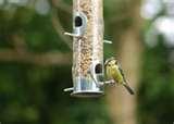 images of Bird Feeder Seed Ports