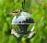 photos of Bird Feeders Information