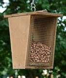 Bird Feeder Nest photos Bird Feeder Nest photos
