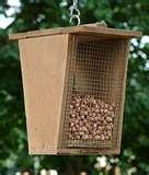 Bird Feeder Nest photos