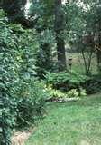Bird Feeders Wv Bird Feeders Wv