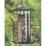 images of Bird Feeders To Paint