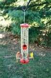 Bird Feeders Knoxville Tn images