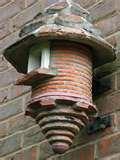 Bird Feeder Wren pictures Bird Feeder Wren pictures
