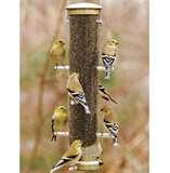 pictures of Bird Feeder Easy Clean