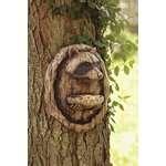 images of Bird Feeder Raccoon images of Bird Feeder Raccoon