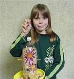 Bird Feeders Out Of Gourds photos